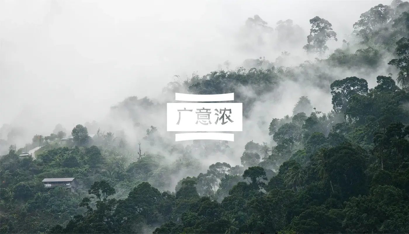 广意浓 完整提案第 35 页
