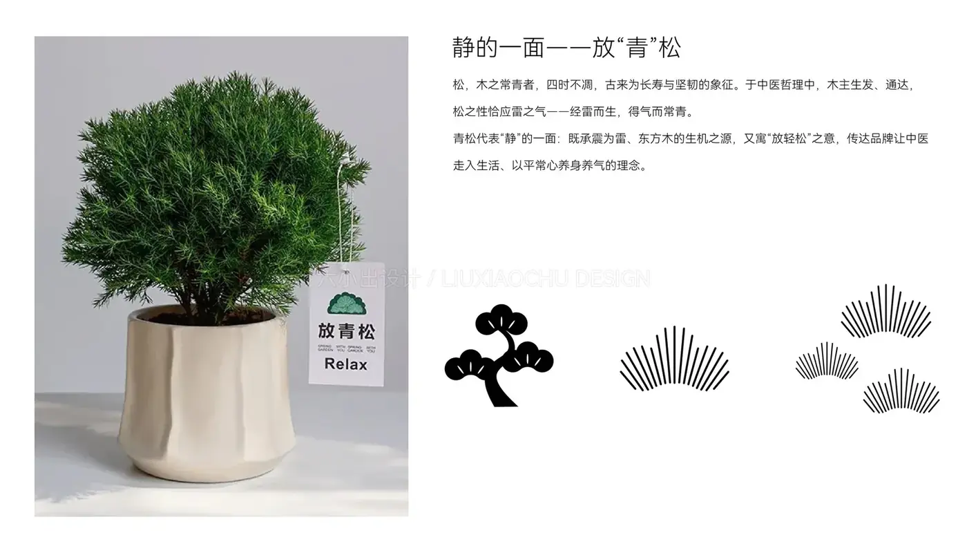 苏州籍雷中医 完整提案第 34 页
