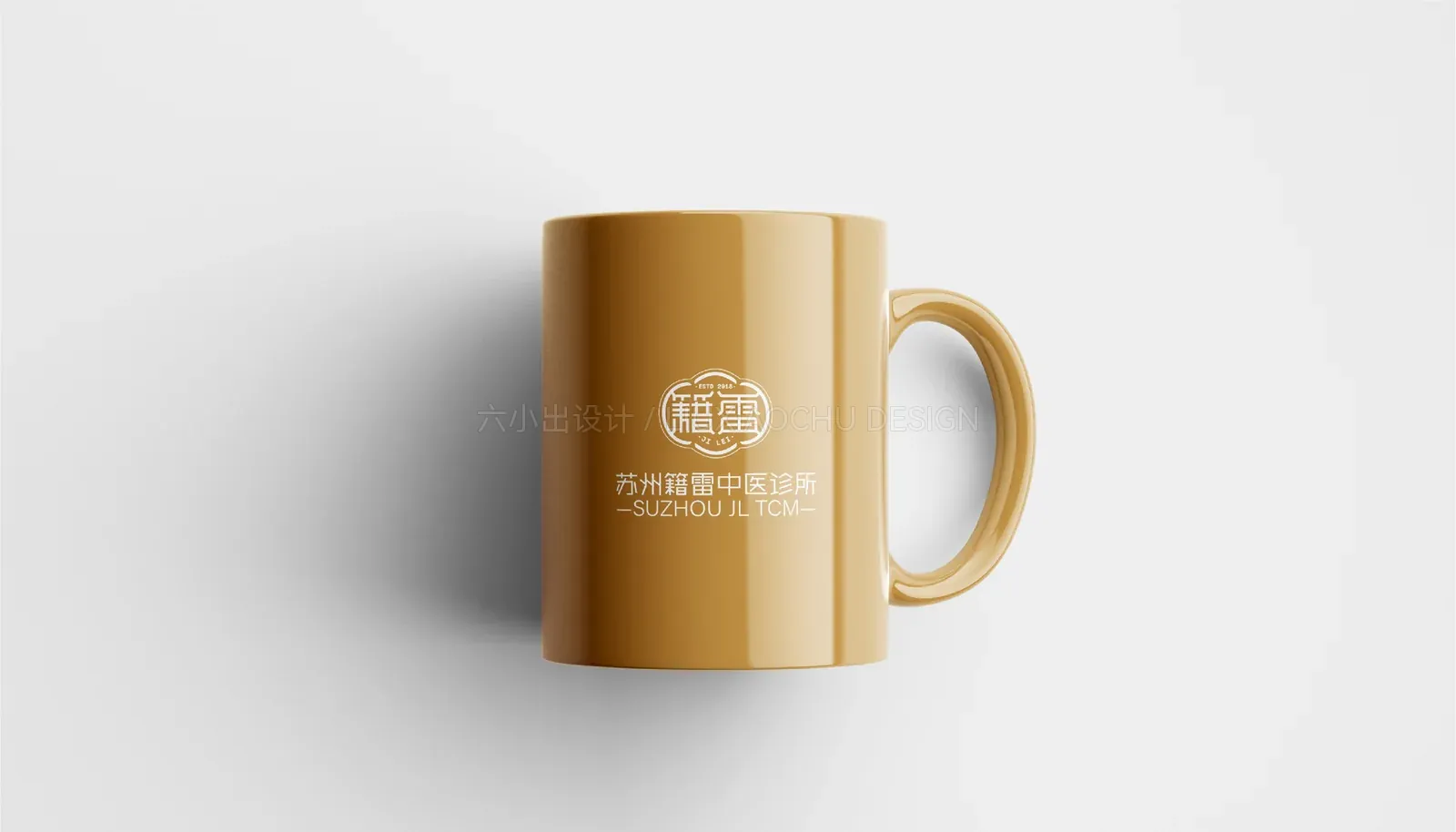 苏州籍雷中医 项目展示 3