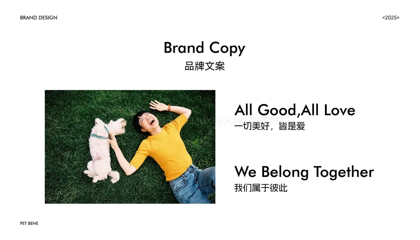 Pet Bene 完整提案第 4 页
