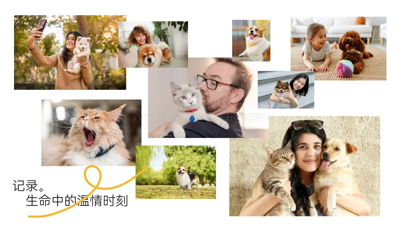 Pet Bene 完整提案第 6 页