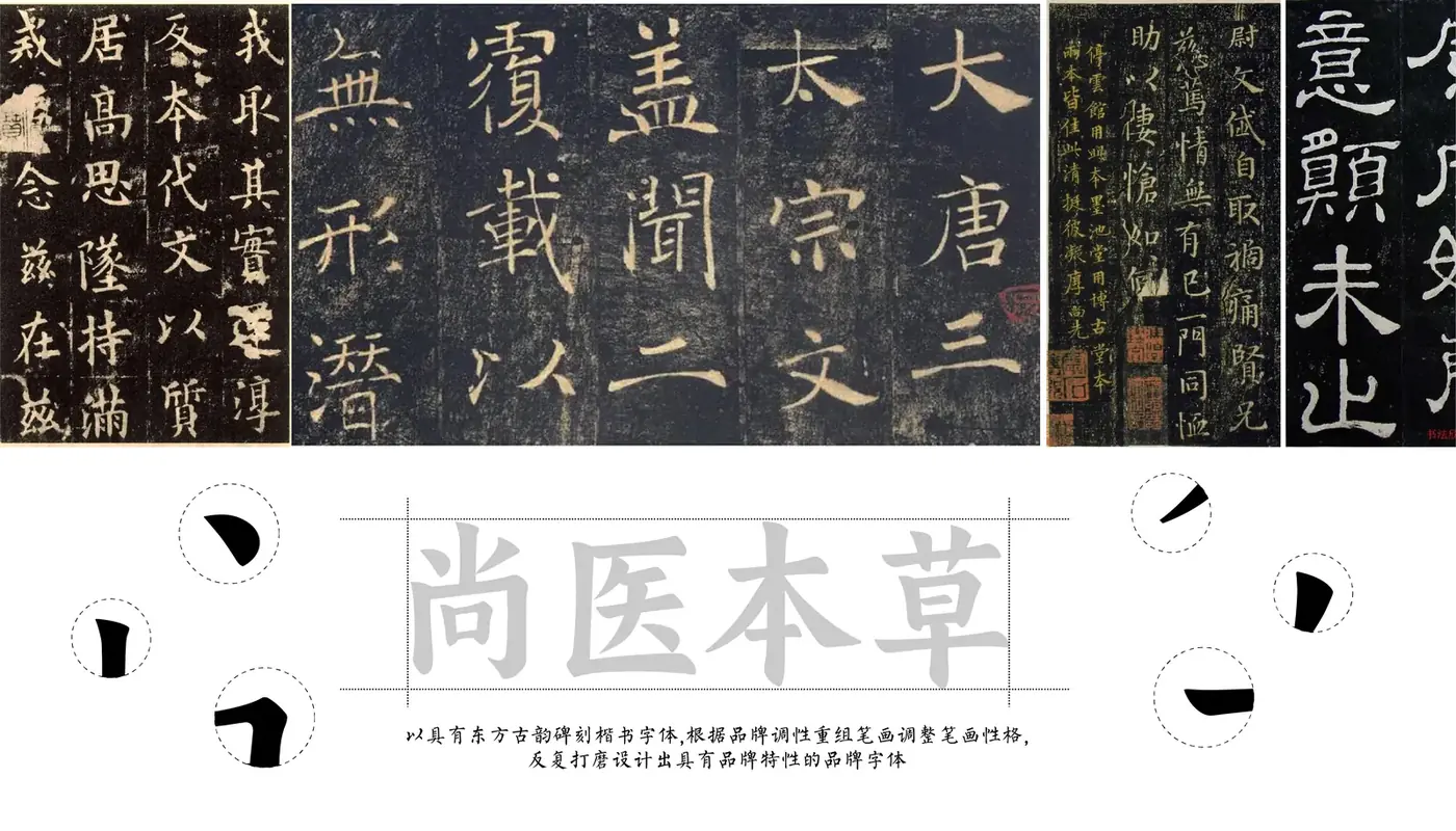 尚医本草 完整提案第 31 页