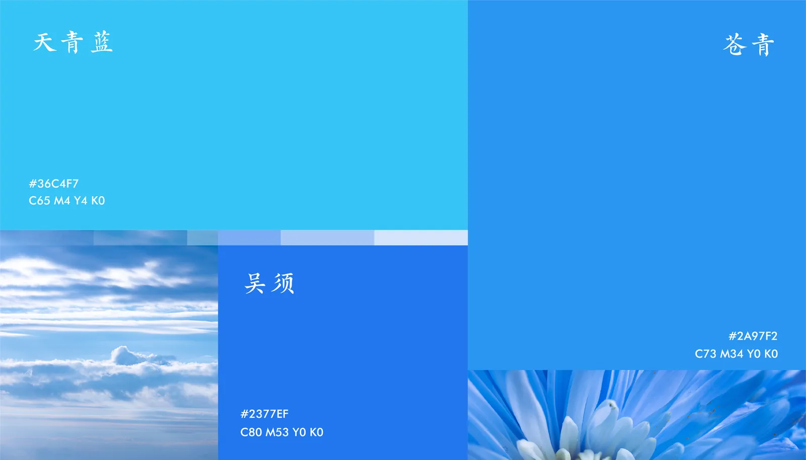 五元蒙医 项目展示 2