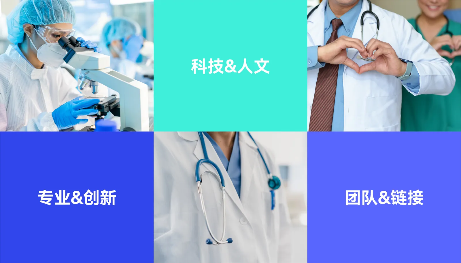 五元蒙医 项目展示 4